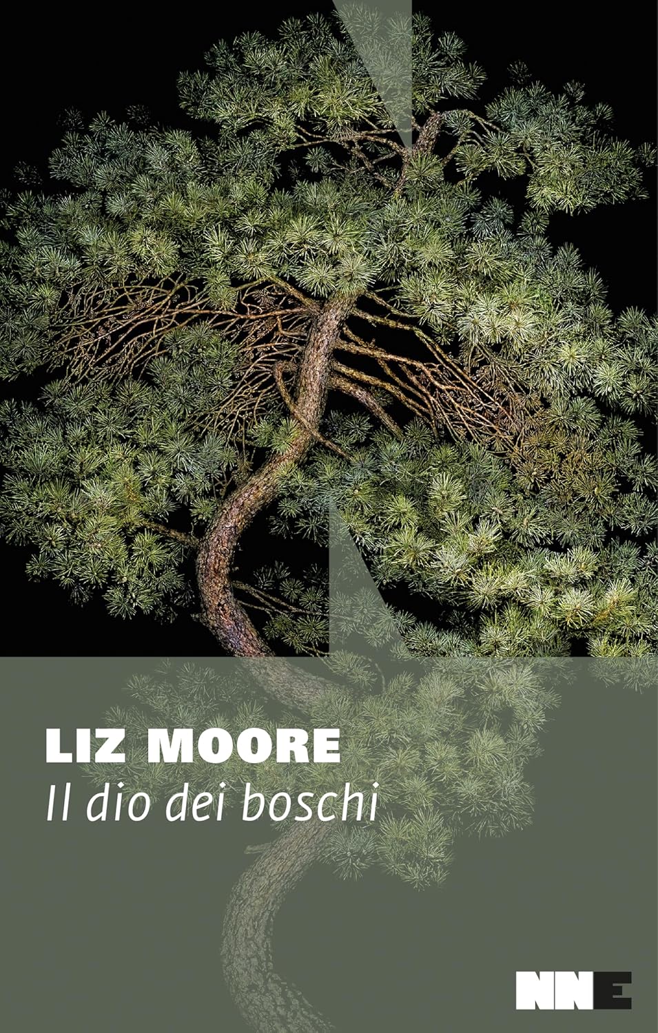 Il dio dei boschi - Liz Moore - NN Editore