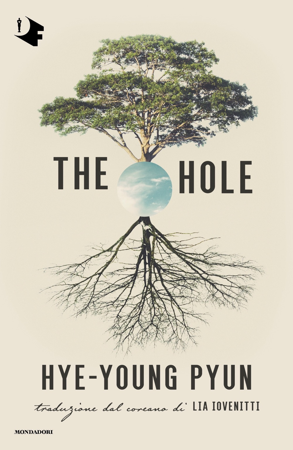 The hole. Ediz. italiana - Hye-young Pyun - Mondadori
